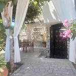 Lodra Póla