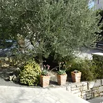 Apartman Lodra